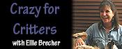 Crazy for Critters | Ellie Brecher's place for pets