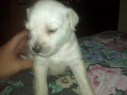 Cosita's (