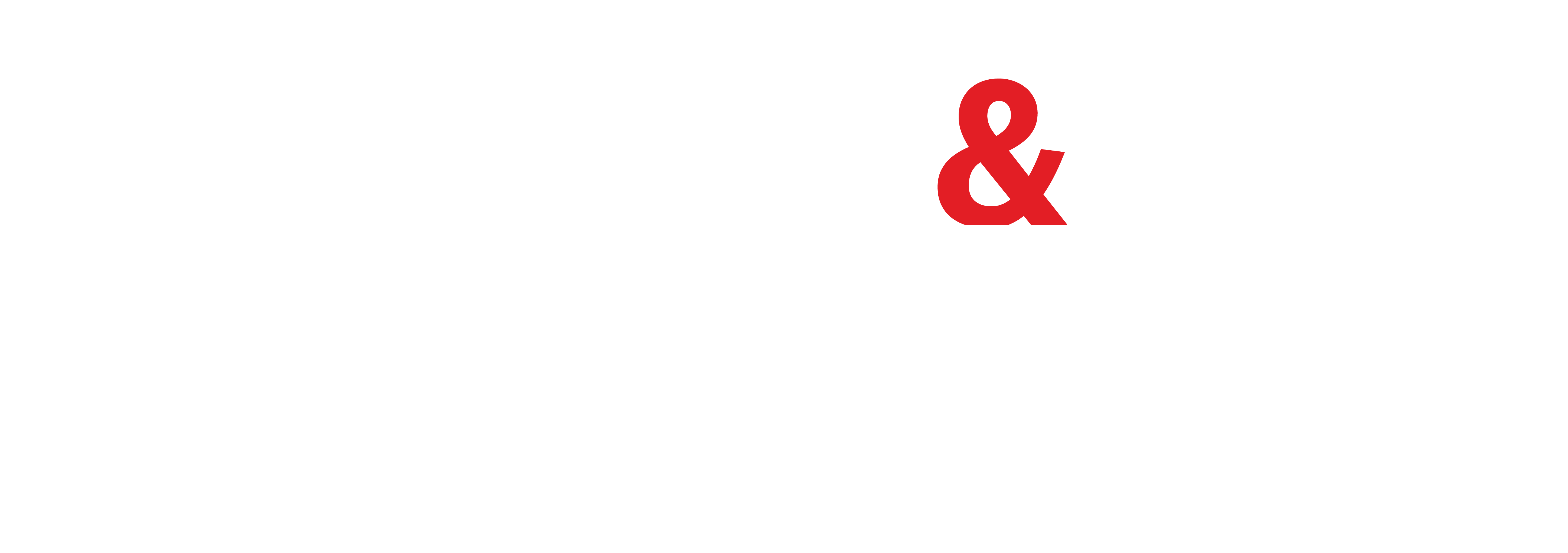 Birth and Betrayal logo